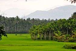 Wayanad District